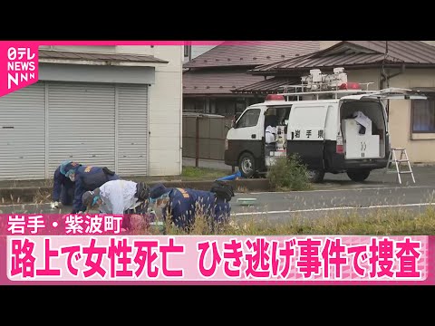 【岩手・紫波町】路上で女性死亡…ひき逃げ事件として捜査
