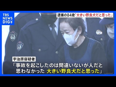 死亡ひき逃げ事件で逮捕の84歳「大きい野良犬だと思った」と容疑を一部否認　千葉・南房総市｜TBS NEWS DIG