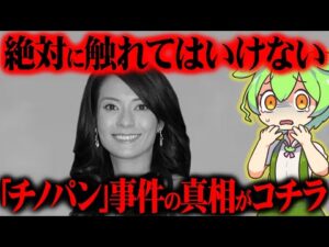 【上級国民】人を星にし逮捕されなかった元フジテレビ女子アナをご存知ですか？『千野志麻・チノパン』【ずんだもん＆ゆっくり解説】