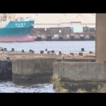 台船に寝間着姿の女性　搬送後死亡　事件の可能性も　大阪・大正区(2026年7月16日)