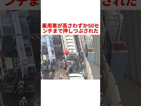 命の最期の瞬間まで、母親は後部座席の子どもたちを守り続けていた #事件 #事故 #映画