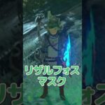 リザルフォスと仲良く写真を撮った時に起こした事件【ゼルダの伝説 ブレス オブ ザ ワイルド】