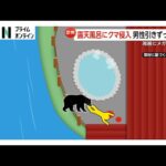 「損傷がかなり激しい」従業員不明の温泉近くで遺体発見、そばに1.5メートルのクマ 脂肪分なく人を食べるために襲った可能性