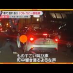 「町中響き渡るような発狂声」ドライブレコーダーに車で連れ去られる瞬間　6人を監禁などの疑いで逮捕