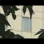 神戸マンション女性殺害事件 逮捕の男「全く知らない人です」と供述(2025年8月24日)