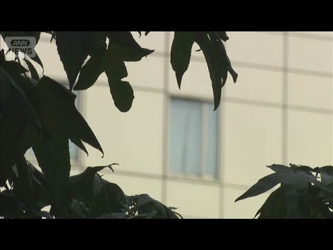 神戸マンション女性殺害事件 逮捕の男「全く知らない人です」と供述(2025年8月24日)
