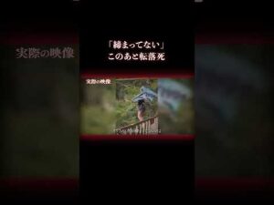 絶叫アトラクションで転落死 #事件 #絶叫マシン
