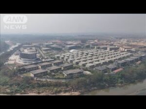 ミャンマー拠点の特殊詐欺事件　かけ子担当か　16歳の少年を逮捕(2025年5月24日)