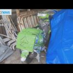 信号無視で逮捕された１６歳の少年逃走事件　手錠切断した疑いで１９歳の少年を再逮捕