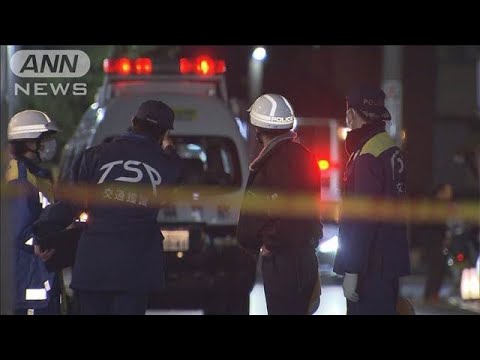 「人とは思わなかった」さいたま市の死亡ひき逃げ事件 運転手逮捕  容疑を一部否認(2025年2月8日)