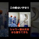 【シャワー室から落下した巨大ヘビ】 #shorts #事件 #雑学