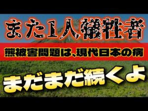 【これらの事件は、日本が『まともな国になるまで』ずっと続きます】￼熊などの鳥獣被害事件の多発は、現在日本の病を浮き彫りにする￼。