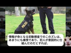 警察が突入…隠しカメラに映った“継父の闇”がヤバすぎる