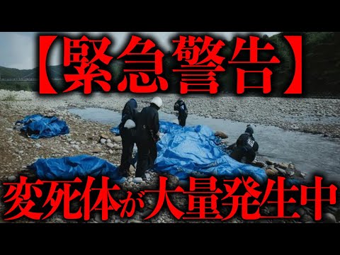 【異常事態】川口市で身元不明の水死体が次々と上がっている件