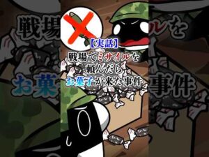 【実話】ミサイルを頼んだらお菓子が来た事件【アニメ】#Plottアニメ #テイペン