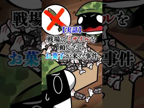 【実話】ミサイルを頼んだらお菓子が来た事件【アニメ】#Plottアニメ #テイペン
