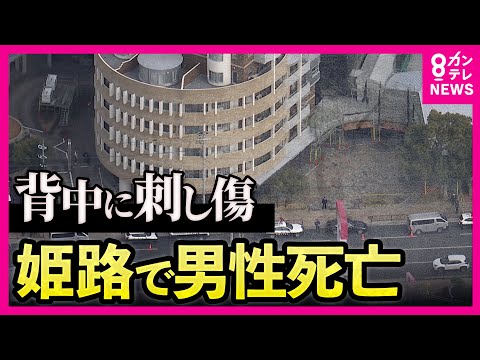 「殺人事件の疑いも」警察が捜査　マンション駐車場で住人の会社員男性が”背中に刺し傷”がある状態で見つかる…その後死亡　兵庫県・姫路市
