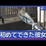 “初めてできた彼女”逮捕の男　容疑否認　ネイリスト殺人【スーパーJチャンネル】(2026年1月22日)