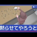 10階から陶器“投げ落とし”少女ら狙った？殺人未遂容疑で女逮捕「黙らせてやろうと」【スーパーJチャンネル】(2025年11月19日)