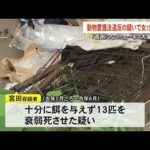 ネコ大量死事件　動物愛護法違反の疑いで女を逮捕【熊本】 (25/09/18 19:00)