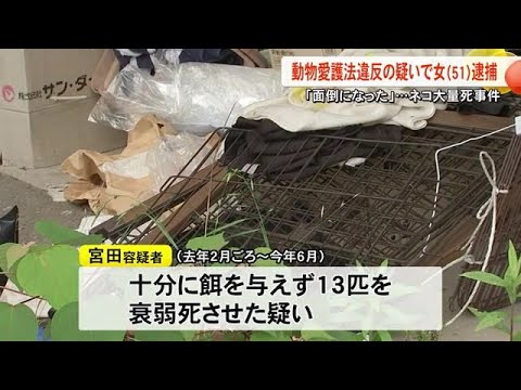 ネコ大量死事件　動物愛護法違反の疑いで女を逮捕【熊本】 (25/09/18 19:00)