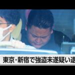 栃木強盗殺人事件との関連も捜査　新宿区で20歳と19歳の男逮捕　”トクリュウ”関与か