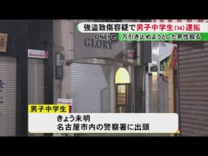 商店街で起きた強盗致傷事件…14歳中学生を逮捕 洋服店でベストを万引きし男性の顔殴って重傷負わせた疑い