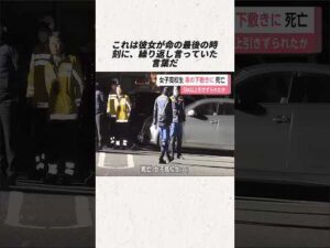 「ゴミだと思った」――9キロ止まらなかった深夜の悲劇#事件#事故
