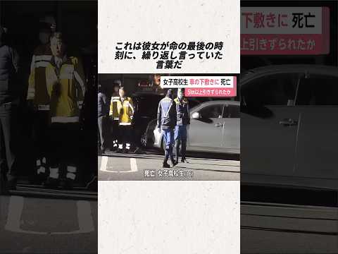 「ゴミだと思った」――9キロ止まらなかった深夜の悲劇#事件#事故