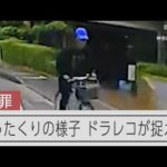【瞬間】ひったくり事件の様子 ドライブレコーダーが捉える