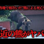 日本各地で相次いだ“熊による死亡事件”の全貌
