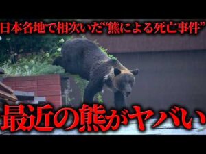日本各地で相次いだ“熊による死亡事件”の全貌