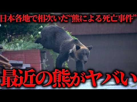 日本各地で相次いだ“熊による死亡事件”の全貌