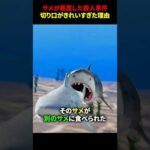 サメが暴露した殺人事件。切り口がきれいすぎた理由 #海外 #shorts