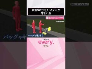 【事件】2人組の男に現金100万円入ったバッグ奪われる  酒に酔って休んでいると…  #shorts