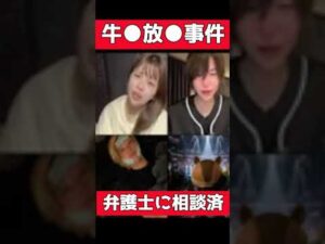 坂口杏里が●●事件…虚偽の男を弁護士に相談済み